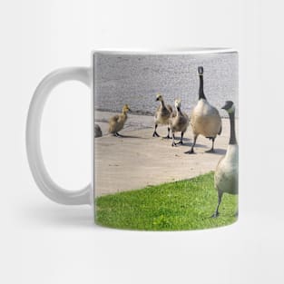 Multiple Young Canada Goose Goslings Mug